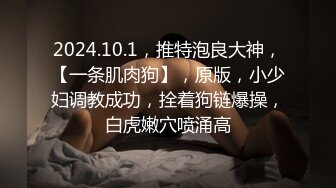 【极品骚货❤️反差婊】最新精选10套超高颜值美女生活淫乱私拍甄选 肥臀后入 脸穴同框 多种玩法 完美露脸 第①季