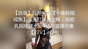 女仆装女奴的散鞭伺候