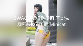 SWAG 洗刷刷洗刷刷原本洗厕所却摸到下面 Minicat