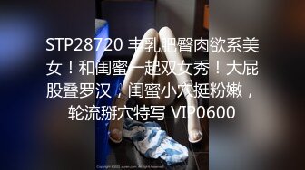   女神悦月的微笑约土豪玩户外车震 最后摘套直接内射