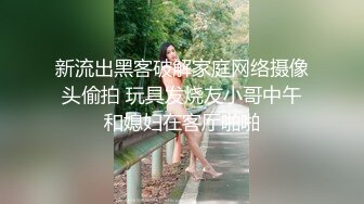 国产AV 葫芦影业 HLW006 色情房东俏房客