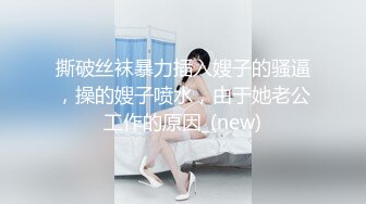 481SACZ-414 白石麻里子 4