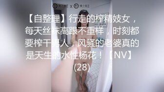 luvian 男人的梦想宠物超品质身材的淫女友热爱露出调教[78P+319M]