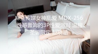 麻豆传媒女神乱爱 MDX-256 性感蕾姆的3P性爱派对 温腥圣诞限定 赵晓涵