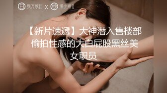 某房最新流出【极品厕拍】各种黑丝 白丝高跟 呕吐 美女如云 系列合集【21V】  (18)