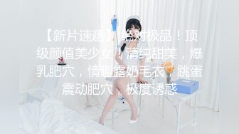 CHRV-076 挺立巨乳天动说！妹妹的爆乳百闻不如一见！ 里奈