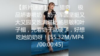 MSD037-空姐的飞淫之旅-困顿篇.新人女优-陈美琳