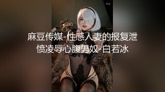 麻豆传媒-性感人妻的报复泄愤凌辱心腹男奴-白若冰