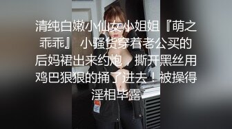 爆乳御姐  顶级JVID超人气爆乳女神 ▌乐乐▌经典痴汉电车《尾行》侵犯女神 尾随强势后入肏弄尤物