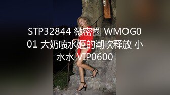 国产主播-典雅而又风骚-酥软软【43V】 (6)