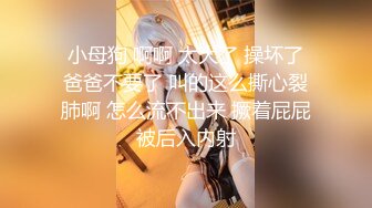 巨乳炮友第二集 差不多一星期没找她 忍不住了 继续内射