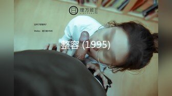 整容 (1995)