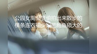 公园女厕全景偷拍出来散步的横条连衣裙少妇肥鲍鱼硕大的唇