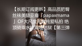 高价约包臀裙美臀小姐姐