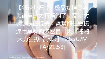 如此佳人 值得试驾 婕咪-日租女友遊樂趣[212P+2V/1.4G]