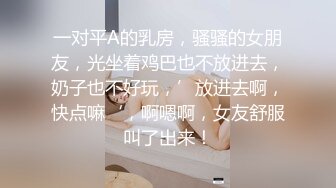 一对平A的乳房，骚骚的女朋友，光坐着鸡巴也不放进去，奶子也不好玩，’放进去啊，快点嘛‘，啊嗯啊，女友舒服叫了出来！