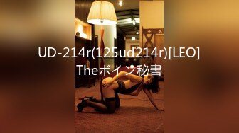 UD-214r(125ud214r)[LEO]Theボイン秘書