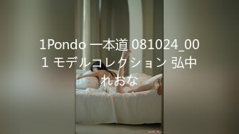 1Pondo 一本道 081024_001 モデルコレクション 弘中れおな