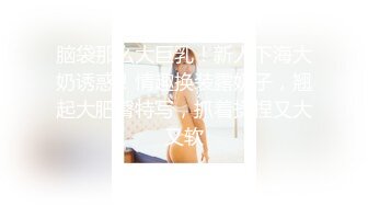 HEYZO 2803 夫には言えない背徳妻の卑猥な秘密Vol.4 – 佐伯エリ