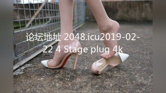 论坛地址 2048.icu2019-02-22 4 Stage plug 4k