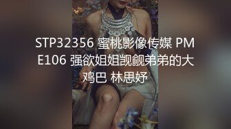 7月新流出流出私房大神极品收藏商场女厕全景后拍系列蕾丝裙美女的黄金比例丰满蜜桃臀