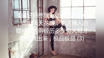 会有妻-你老婆其实是两百块钱的站街女特辑