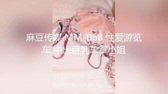 麻豆传媒 MM-068 性爱游览车 中出巨乳车掌小姐