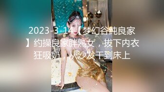 2023-3-14【梦幻谷纯良家】约操良家胖熟女，拔下内衣狂吸奶，从沙发干到床上