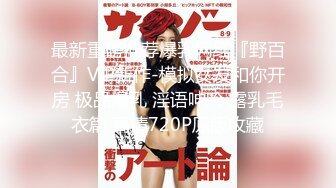 最新重磅推荐爆乳网红『野百合』VIP新作-模拟女友和你开房 极品爆乳 淫语呻吟 露乳毛衣篇 高清720P原版收藏