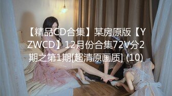 【精品CD合集】某房原版【YZWCD】12月份合集72V分2期之第1期[超清原画质] (10)