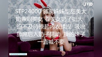 STP24000 邻家妹妹型甜美大奶兼职美女 看美女奶子挺大  迫不及待撩起内衣揉捏  吸吮舔屌后入奶子晃动  操的妹子一直喊不要