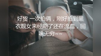 极品萝莉女奴【水手服彼女飼育】绝美身材 开档黑丝啪啪内射 白丝足交 玉宝绝版福利 (2)