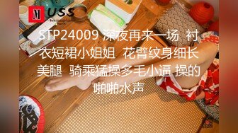 STP24009 深夜再来一场  衬衣短裙小姐姐  花臂纹身细长美腿  骑乘猛操多毛小逼 操的啪啪水声