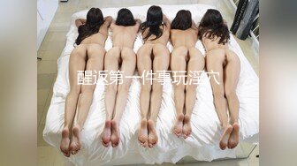 乌托邦情欲新作 WTB-094 女仆的秘密课程 教导严肃主任懂得享受激情之夜