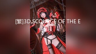 [繁]3D SCOURGE OF THE EVIL