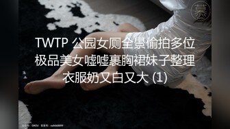 TWTP 公园女厕全景偷拍多位极品美女嘘嘘裹胸裙妹子整理衣服奶又白又大 (1)