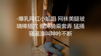 -爆乳网红小姐姐 网袜美腿玻璃棒插穴 假屌骑乘套弄 猛捅骚逼浪叫呻吟不断