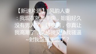 【Z先生】聚会认识的豪放东北女人叫床都很搞笑