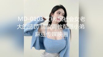 MD-0103 艾秋 黑社会女老大的惩罚 情欲调教帮派小弟 麻豆传媒映画