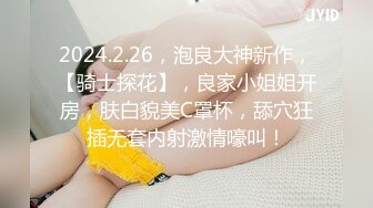 白嫩豐滿極品美乳人妻 超顯身材的情趣衣！高質量美女騷貨出軌偷情