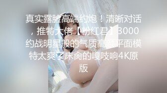 【网曝门事件】阿拉善战神车队长阿虎约炮极品美乳OL女白领不雅视频曝光 骑乘车震 圆挺爆乳刺激诱惑 高清720P原版