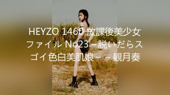 HEYZO 1460 放課後美少女ファイル No23～脱いだらスゴイ色白美肌娘～ – 観月奏