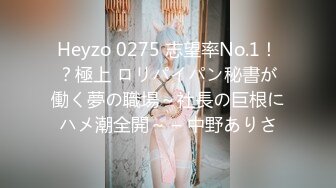 Heyzo 0275 志望率No.1！？極上 ロリパイパン秘書が働く夢の職場～社長の巨根にハメ潮全開～ – 中野ありさ