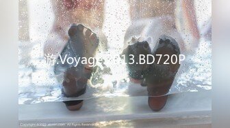 游.Voyage.2013.BD720P