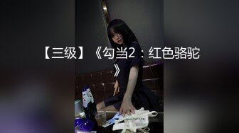 【三级】《勾当2：红色骆驼》