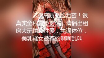 反差女神「Adeless2」老板的骚货女秘书，被很多客户都操过了，她说鸡巴大的都可以操她！