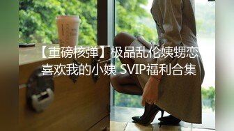 【重磅核弹】极品乱伦姨甥恋 喜欢我的小姨 SVIP福利合集