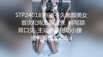 STP29788 國產AV 皇家華人 RAS0272 POV 幻想女友日記 我的完美嫩鮑尤物 羽芮(壞壞)