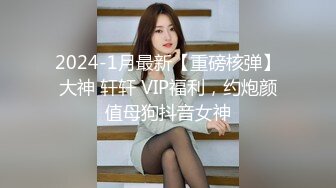 2024-1月最新【重磅核弹】大神 轩轩 VIP福利，约炮颜值母狗抖音女神