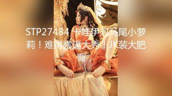 杉並区在住173cm長身美脚モデル級奥さんと目黒区在住現役デパガのGカップ巨乳妻がまさかの発情